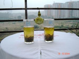 蘭溪毛峰茶