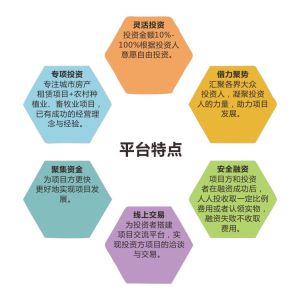 點籌金融平台特點