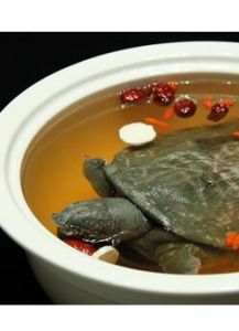 枸杞淮山煲甲魚 枸杞淮山煲甲魚