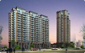 康城國際 康城國際