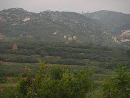 喬家村[山東省濟南市章丘區繡惠街道辦事處喬家村]