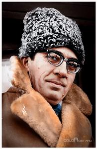 馬林&middot;普列達院士