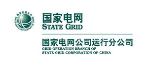 國家電網公司運行分公司 國家電網公司運行分公司