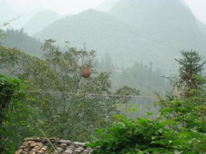 陰洞自然村 陰洞自然村