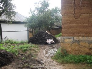 九石溝自然村 九石溝自然村