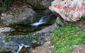 楓林咽泉 楓林咽泉