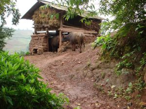 老窪自然村 老窪自然村