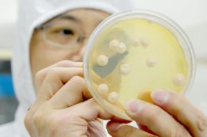 營養生物 營養生物