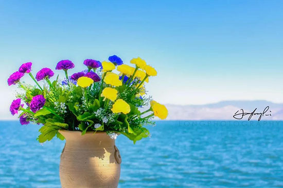 愛上洱海,只需要這十個瞬間