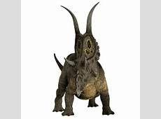 惡魔角龍 惡魔角龍