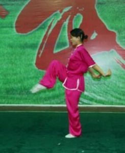 八步連環拳 八步連環拳