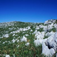 地基容許承載力 地基容許承載力