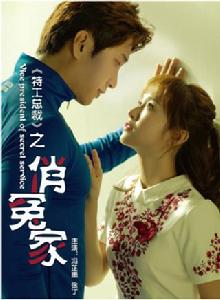 特工總裁俏冤家 特工總裁俏冤家