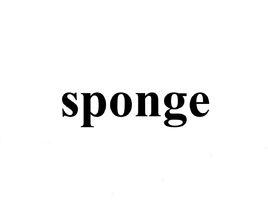 sponge sponge