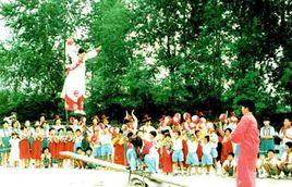 豎燈桿升彩鳳 豎燈桿升彩鳳