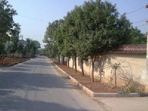 十月村各種設施