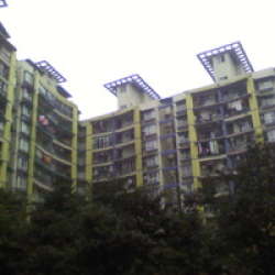 小天鵝花園 小天鵝花園