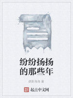 紛紛揚揚的那些年