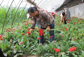 松嶺門鄉 松嶺門鄉