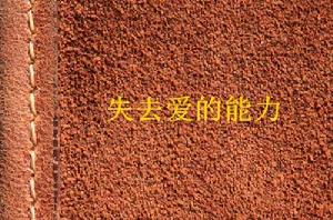 失去愛的能力 失去愛的能力