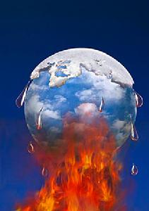 自然災害低溫冷害