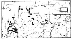 串果藤屬 串果藤屬