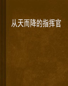 從天而降的指揮官 從天而降的指揮官