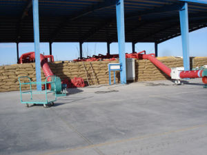 中央儲備糧巴彥淖爾直屬庫