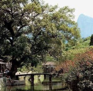 花亭(含麗水橋) 花亭(含麗水橋)