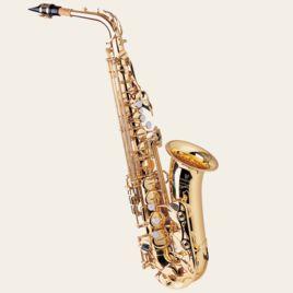 sax[管樂器薩克斯]