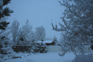 飄雪的季節[千龍演唱單曲]