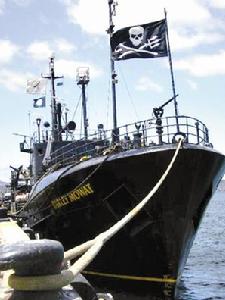 沃森阻止捕鯨的“海盜船”。