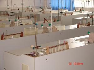 （圖）學校試驗室