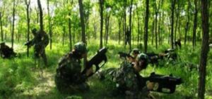 西沖真人cs野戰拓展基地 西沖真人cs野戰拓展基地