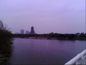 園博苑—杏林閣