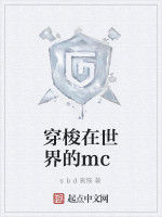 穿梭在世界的mc