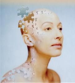 唯讀型大腦 唯讀型大腦