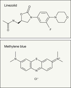 五羥色胺綜合徵 五羥色胺綜合徵
