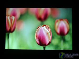 奧圖碼PV2223投影機