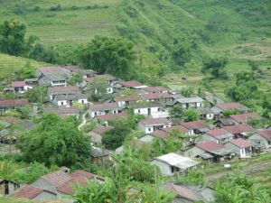 （圖）金水河鎮