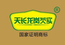 龍崗芡實 龍崗芡實