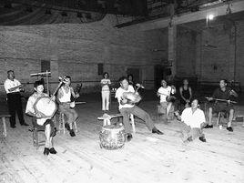 晉南迷胡 晉南迷胡