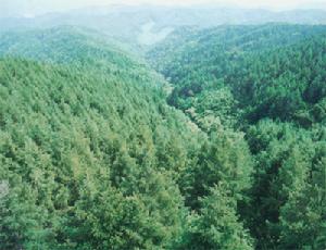 清原滿族自治縣