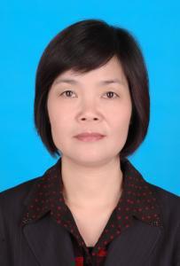 劉靜[甘肅省定西市漳縣縣委副書記、縣長]