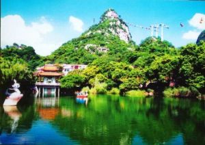 田陽布洛陀芒果風情園