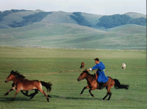 蒙古高原