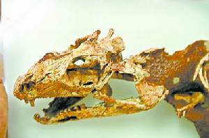 亞洲最大恐龍：體長18米，體重相當於10頭大象