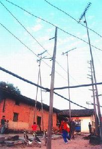 魚骨電視天線 魚骨電視天線