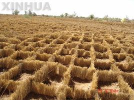 永豐灘鄉 永豐灘鄉