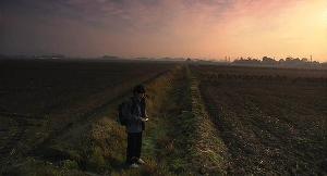 關於莉莉周的一切